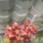 Windelbube77