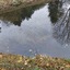 KleinerFW
